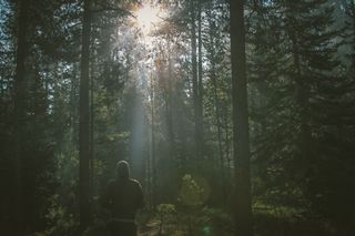 Nature-sunny-man-person Nature-sunny-man-person