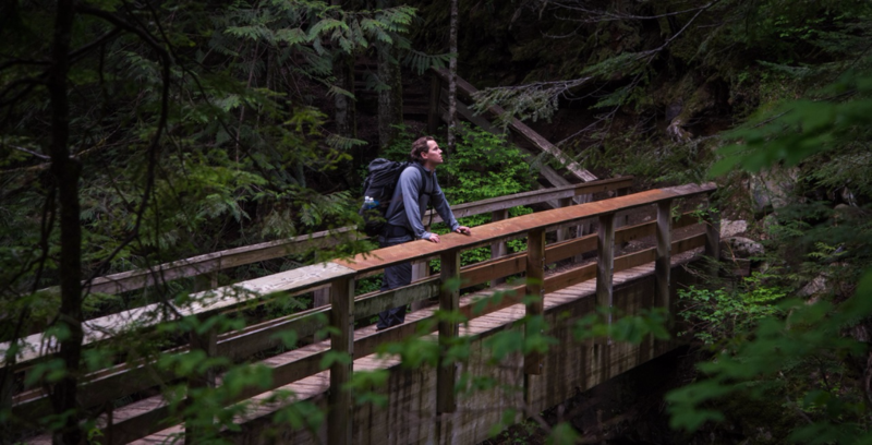 Senderismo por el bosque sobre un puente Senderismo por el bosque sobre un puente