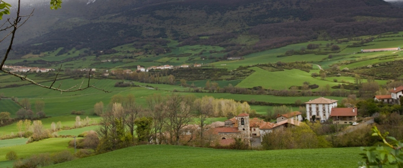 Valle ollo